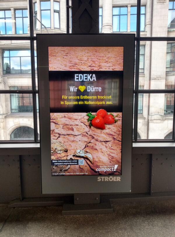 „Wir 💛 Dürre”: Campact-Kampagne gegen Edekas Dürre-Erdbeeren 