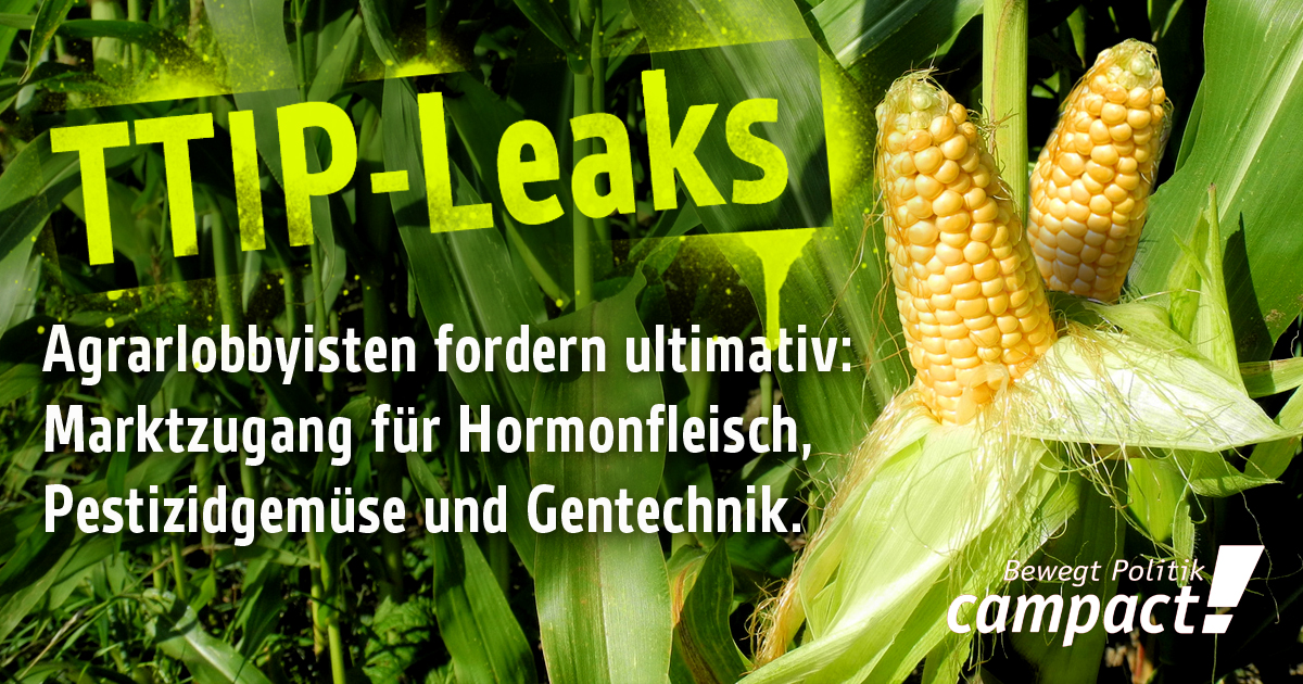 TTIP-Leaks: Hormonfleisch, Gentechnik, Pestizide. Grafik: Zitrusblau/Campact [CC BY-ND 2.0] 