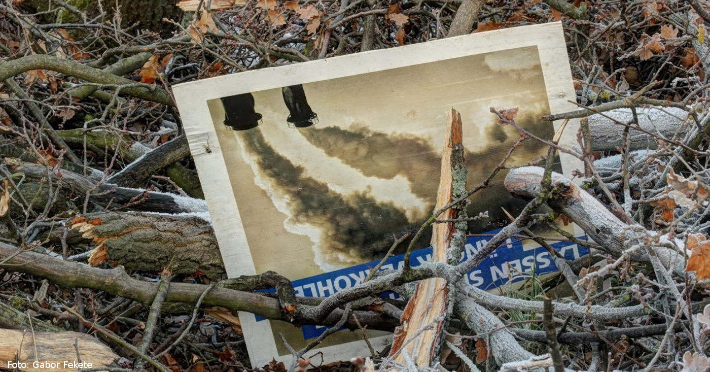 Kohlebild im Hambacher Forst