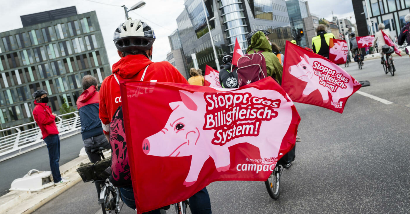 Fahrradfahrer*innen bei einer Demo tragen Fahnen mit der Aufschrift "Stoppt das Billigfleisch-System"