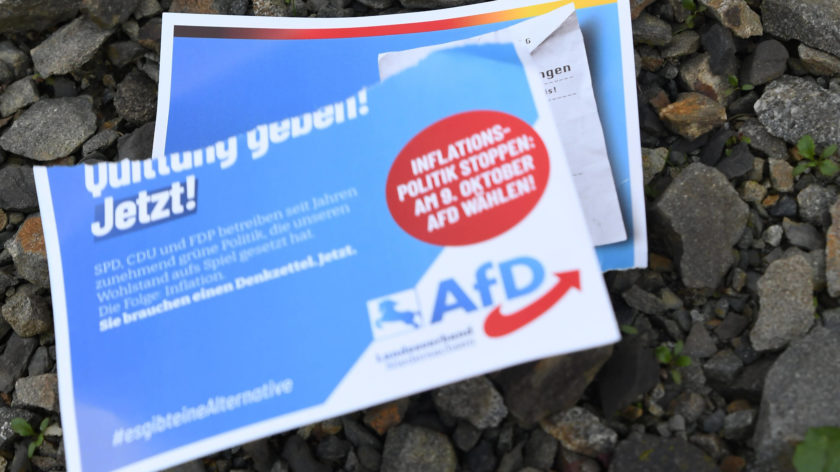 Ein zerrissener Wahl-Flyer der AfD zur Landtagswahl in Niedersachsen liegt auf dem Boden.