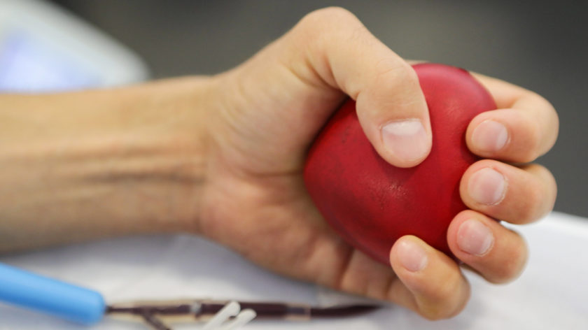 Blutspende-Verbot für schwule Männer – auf dem Bild ist eine Hand zu sehen, die während der Blutspende einen kleinen roten Ball zusammendrückt.