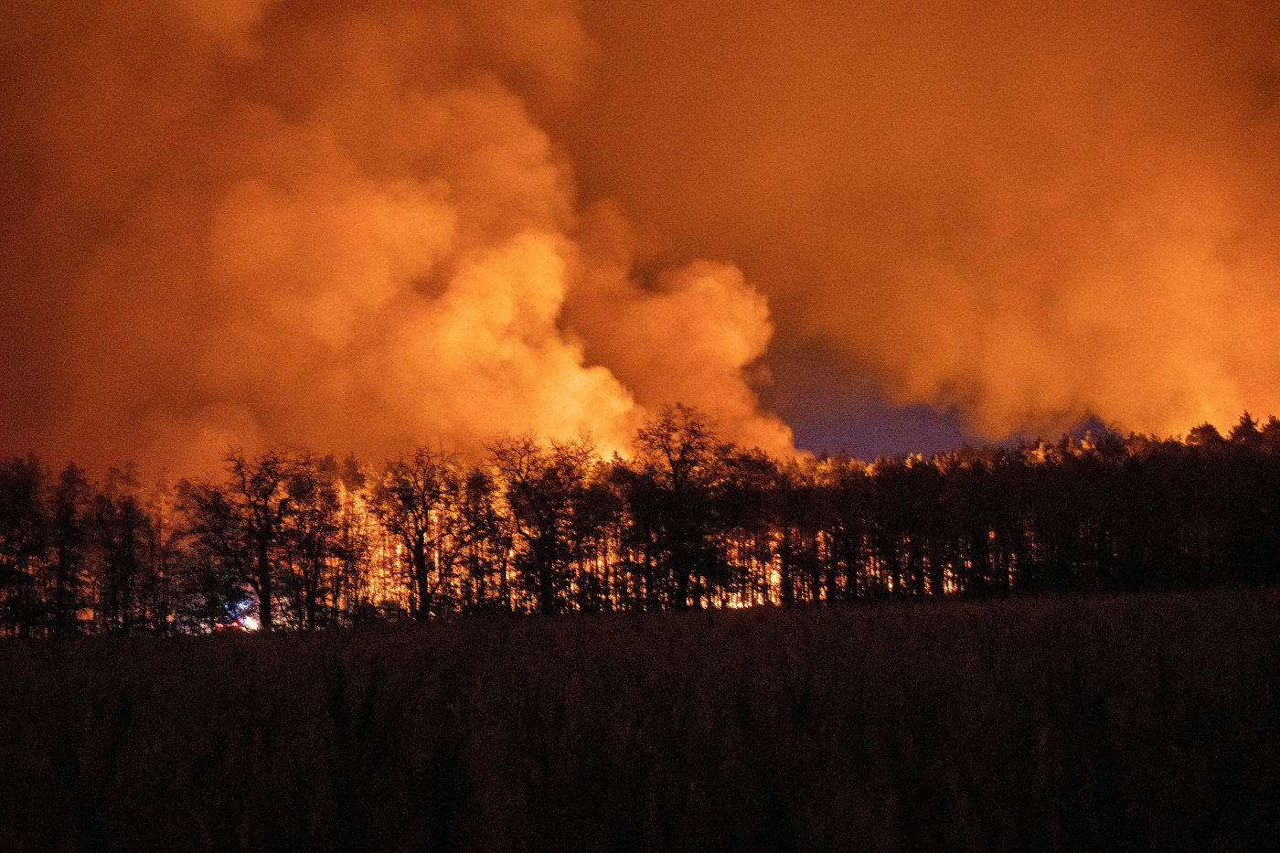 Ein Waldbrand in Brandenburg im Sommer 2022.