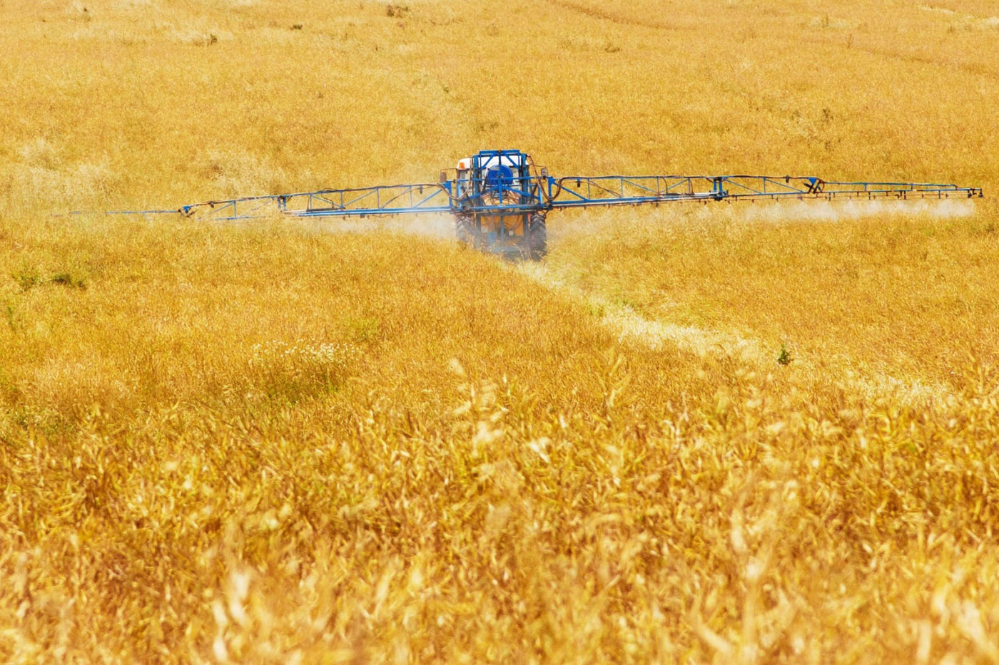 Ackergifte auf Deutschen Feldern: 150 neue Pestizide zugelassen
