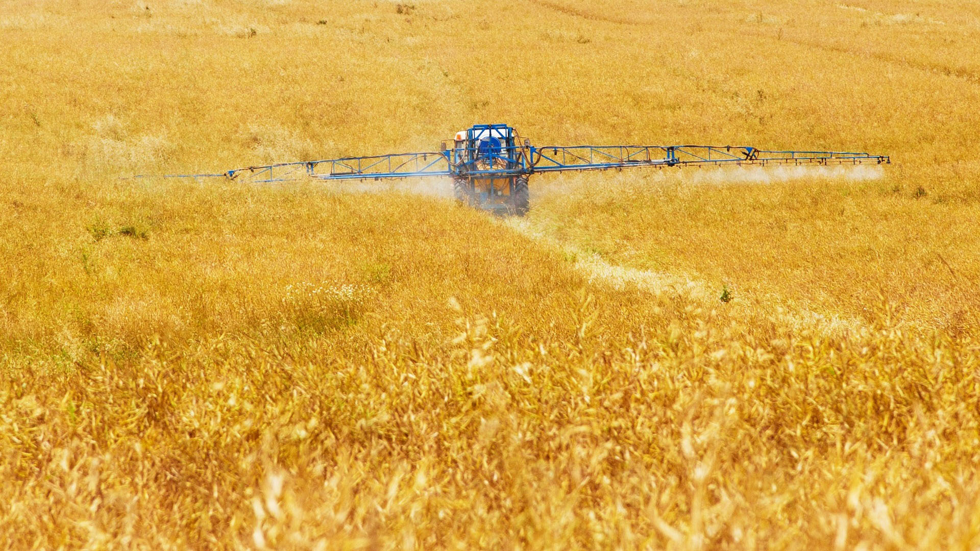 Ackergifte auf Deutschen Feldern: 150 neue Pestizide zugelassen