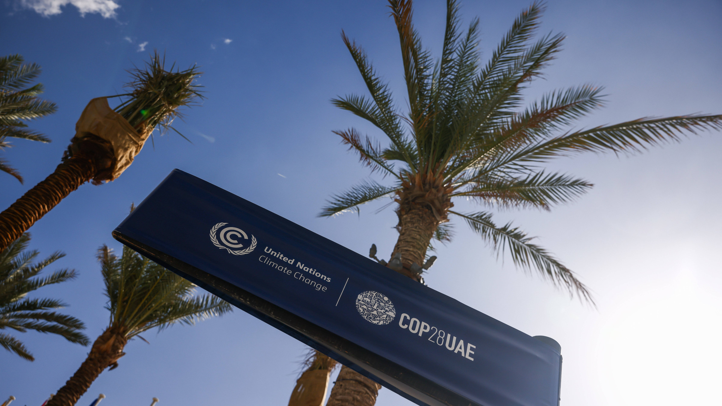 Schild der COP28, Klimakonferenz in Dubai. Im Hintergund sind blauer Himmel und Palmen zu sehen.