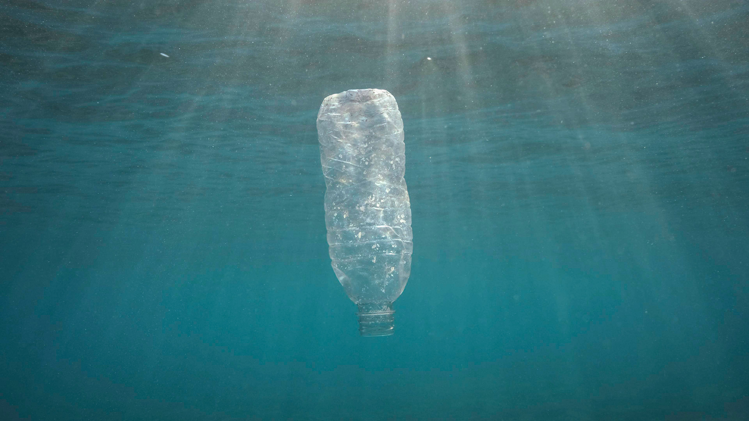 Eine Plastikflasche treibt im Meer
