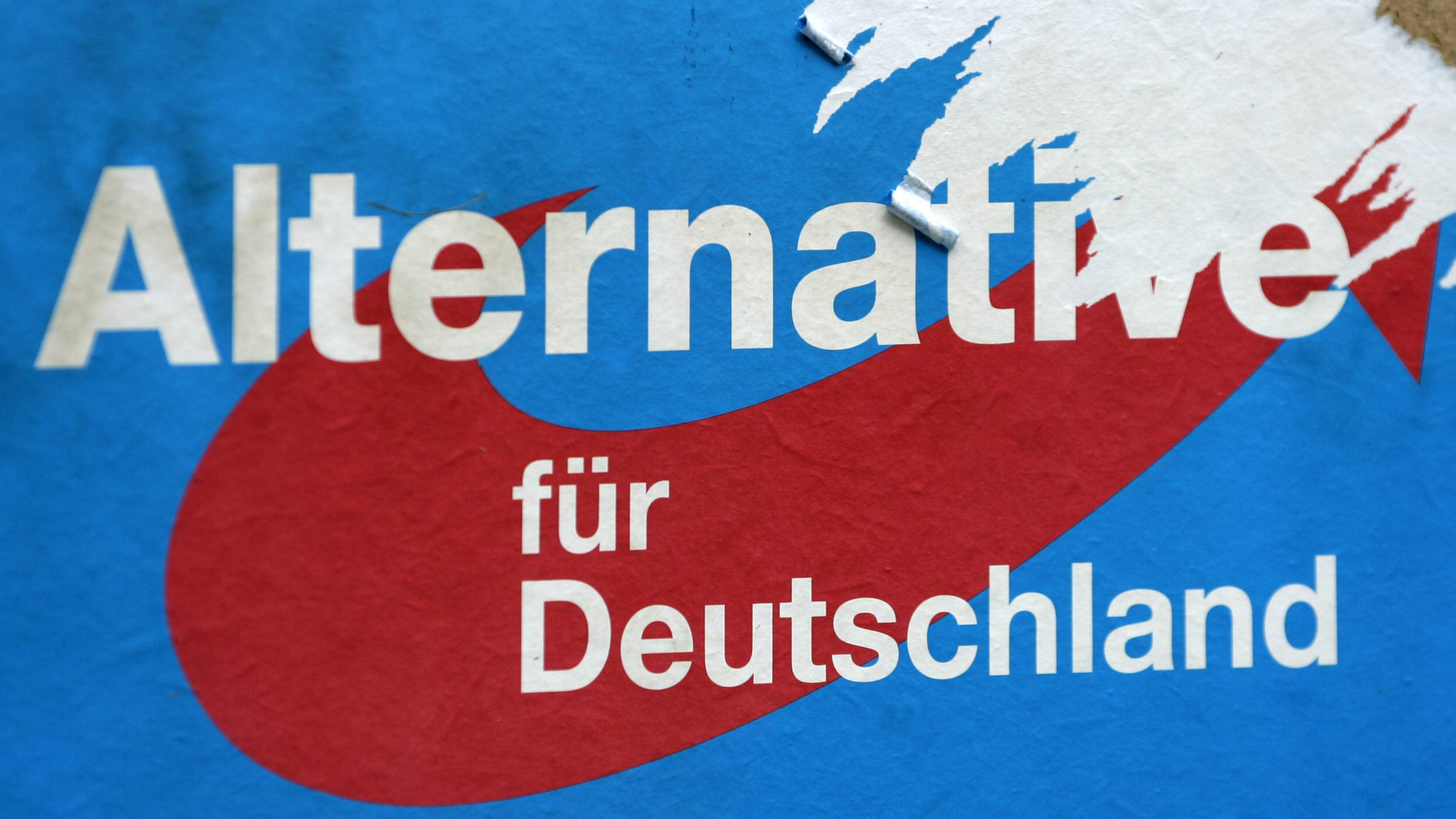 Ein zerrissenes Wahlplakat der AfD zur Bundestagswahl 2013.