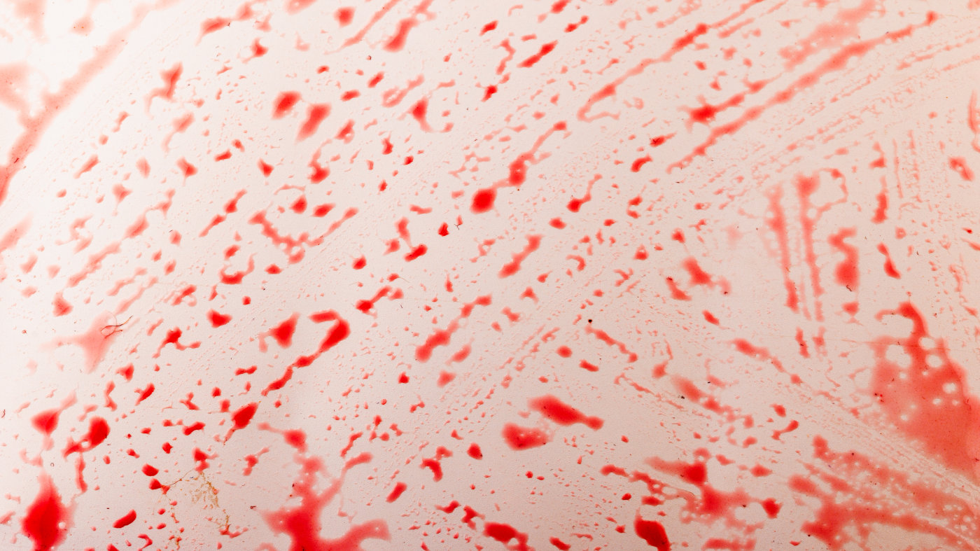 Roter Johannisbeersaft wurde über eine weiße Fläche verteilt, sodass er wie Blutspritzer aussieht.