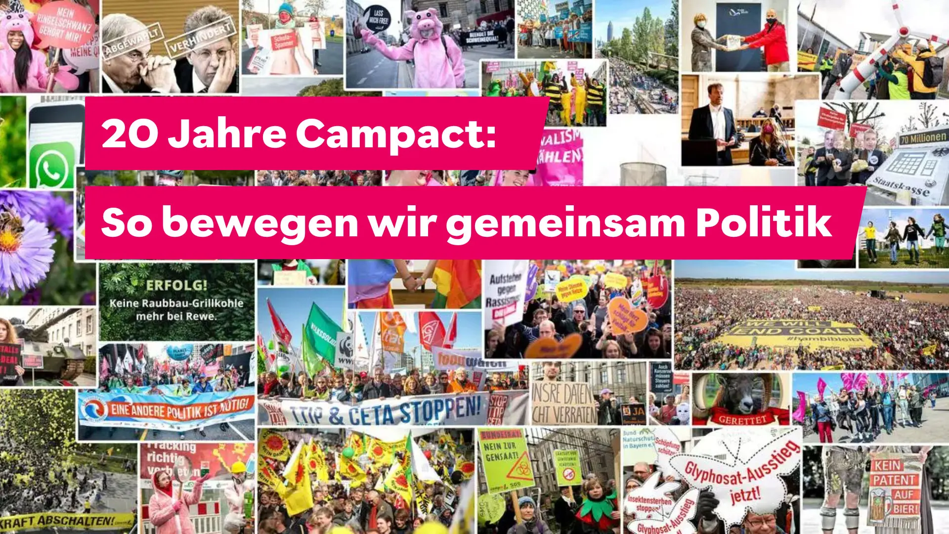 Bild-Collage mit dem Text darüber: "20 Jahre Campact: So bewegen wir gemeinsam Politik"