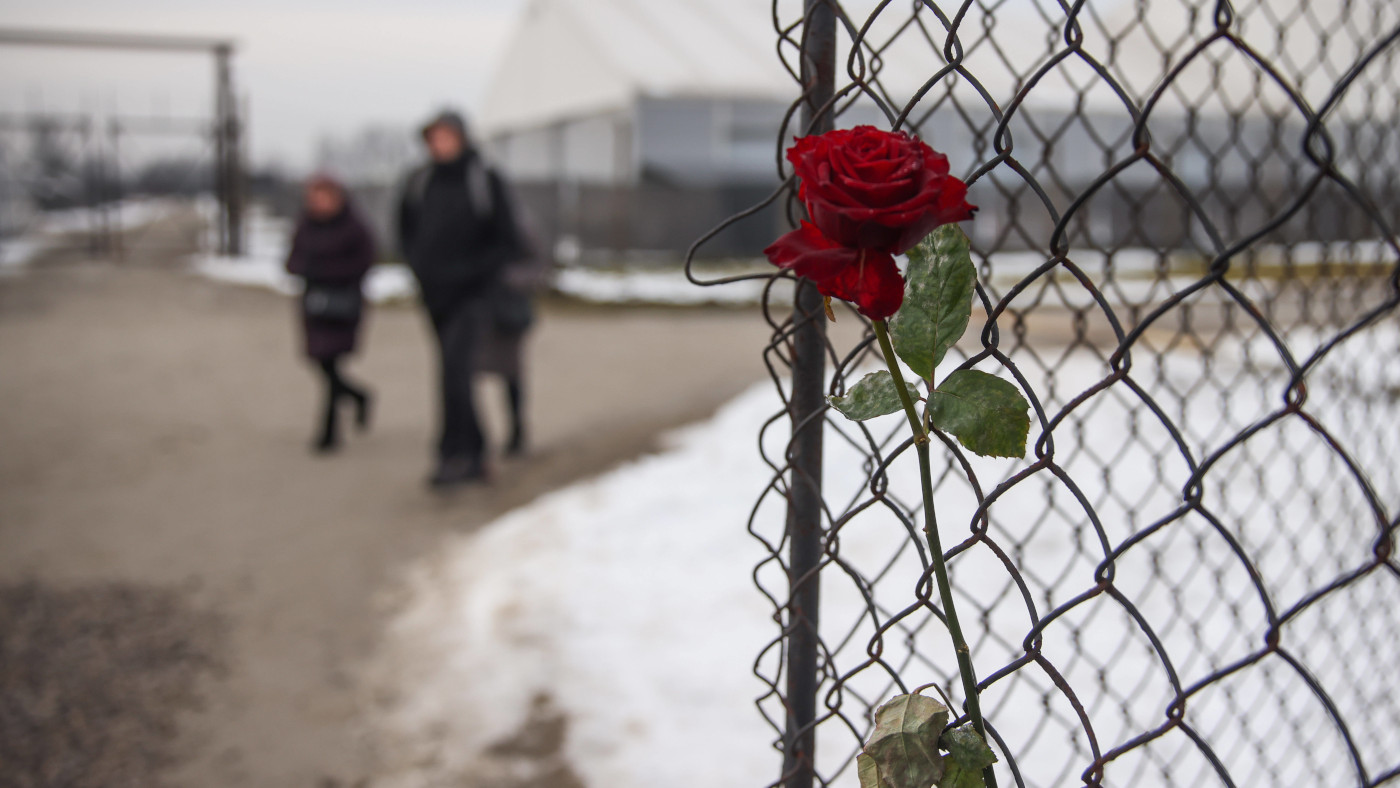 Eine Rose an einem Zaun im ehemaligen Nazi-Konzentrationslager Auschwitz-Birkenau, wenige Tage vor dem Gedenktag der Befreiung am 27. Januar 2025.