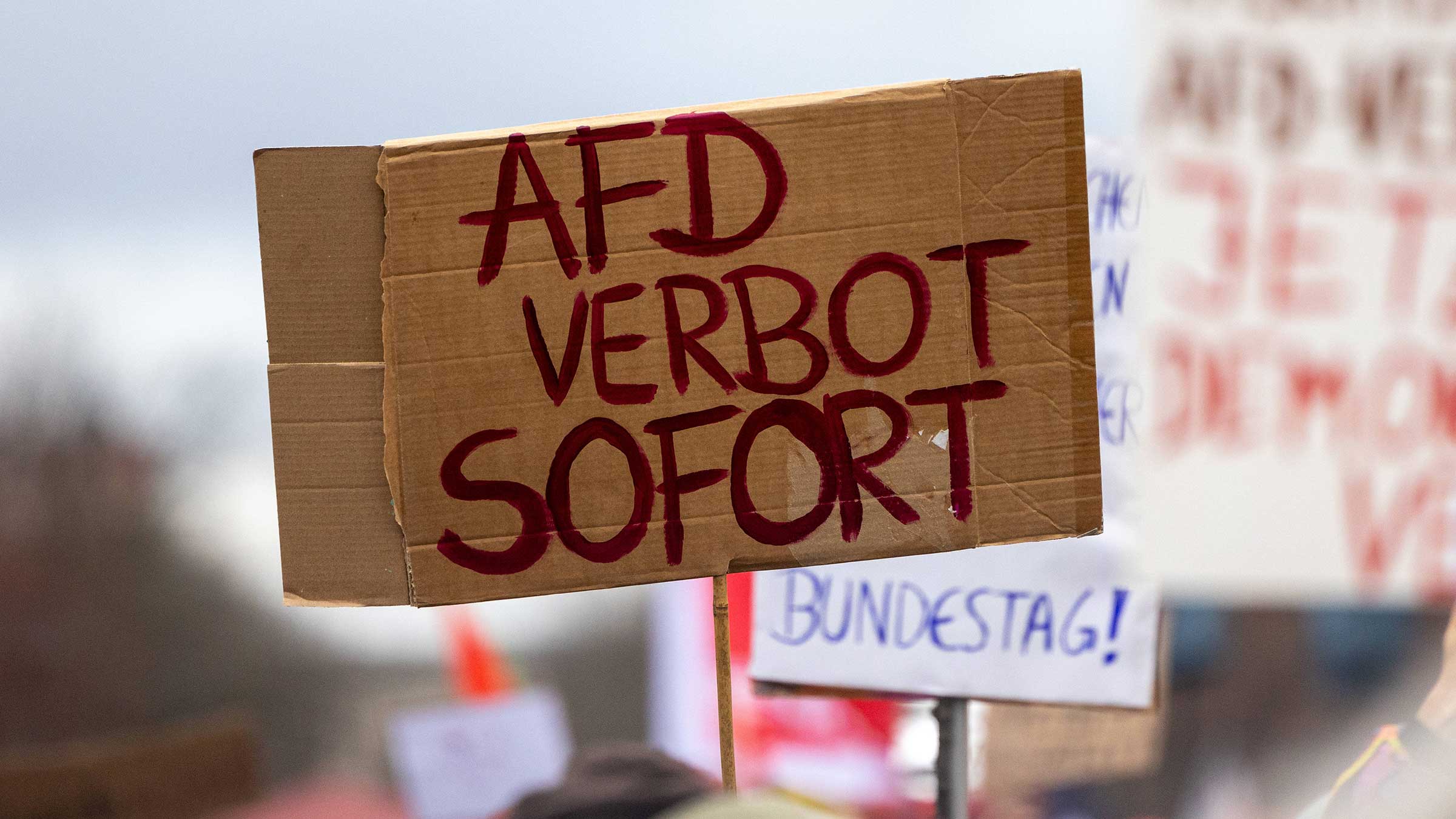 Tausende Menschen demonstrieren vor dem Brandenburger Tor gegen Rechts und die AfD. Eine Person hält ein Schild. Darauf steht: "AfD Verbot sofort"